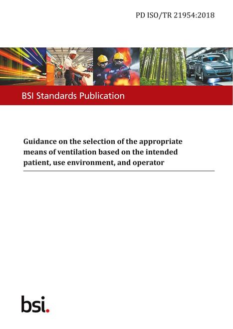 BS PD ISO/TR 21954